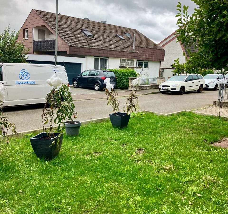Ruhig gelegene 2 Zimmerwohnung in Aichtal